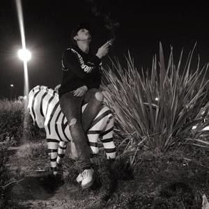 Meet your Posher, Blake